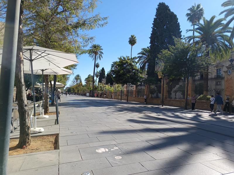 Foto 824605bf-0fba-4282-88b5-fae1f1f31576. Alquiler local comercial oportunidad alquiler localsotanogarage en plena calle san fernando de 250m2! en Sevilla