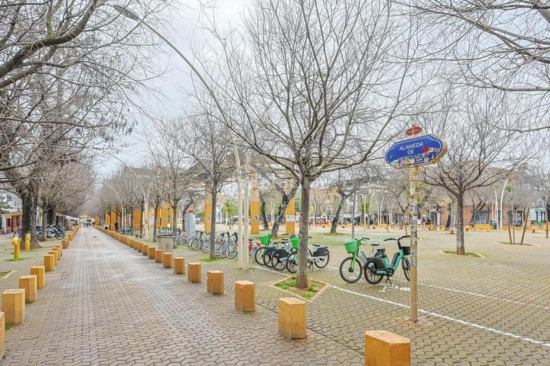 Foto 3c19f973-77ba-47ed-b252-eed454a6962b. Alquiler piso exclusiva vivienda en alameda de hercules en Sevilla