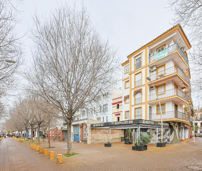 Foto 6485f1f7-d94e-466f-bc51-53a3657f5e9d. Alquiler piso exclusiva vivienda en alameda de hercules en Sevilla