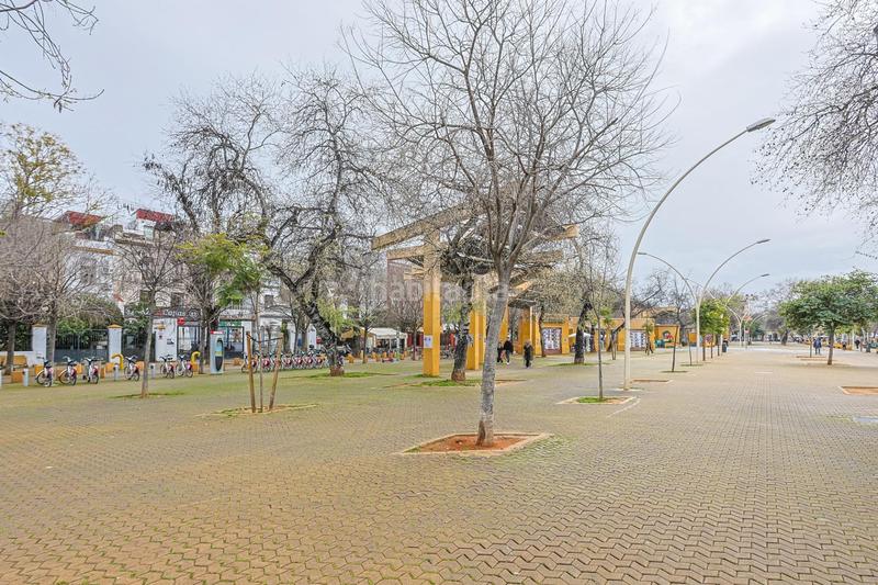 Foto c29d0bcb-b09f-459a-89f4-0dc7d90bee26. Rent flat with heating in Feria Sevilla