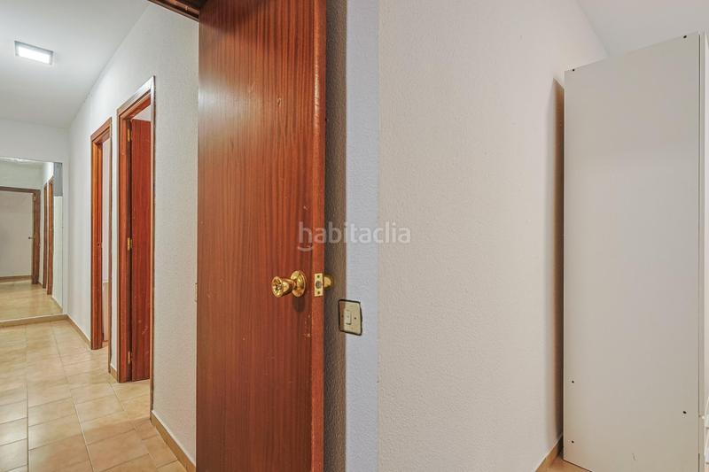 Foto 1b66aff1-c39b-4f93-821d-7fad9eabdeef. Pis a Alfalfa - Santa Cruz Sevilla