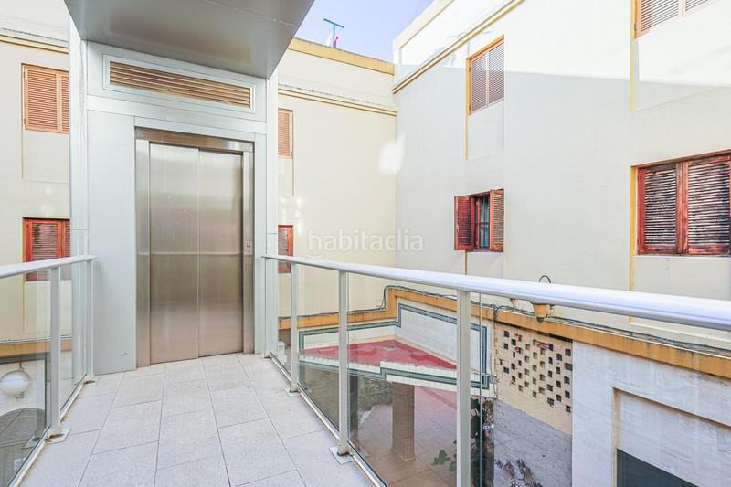 Foto 2ff549fb-2669-47cd-b93b-c5d4412b292a. Pis a Alfalfa - Santa Cruz Sevilla