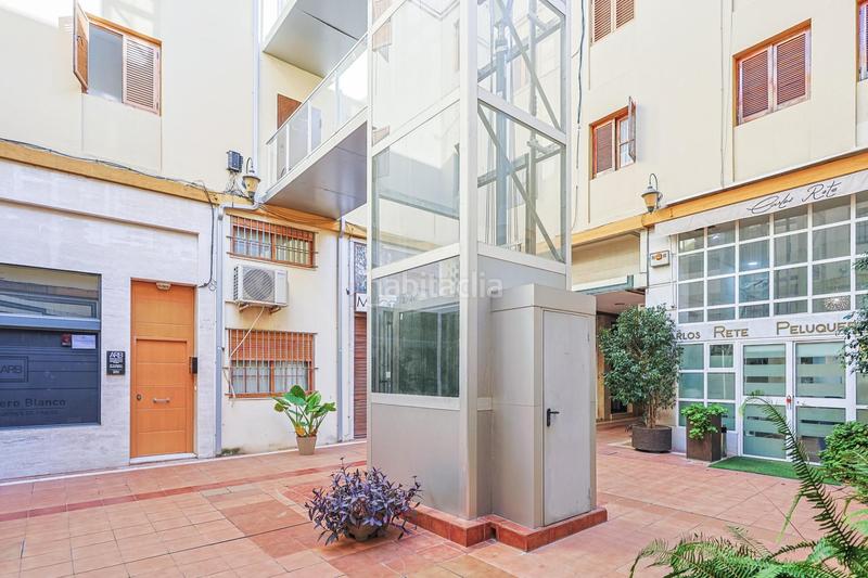 Foto 32bcd52e-957d-4fda-a349-9815f7a7fdf8. Pis a Alfalfa - Santa Cruz Sevilla