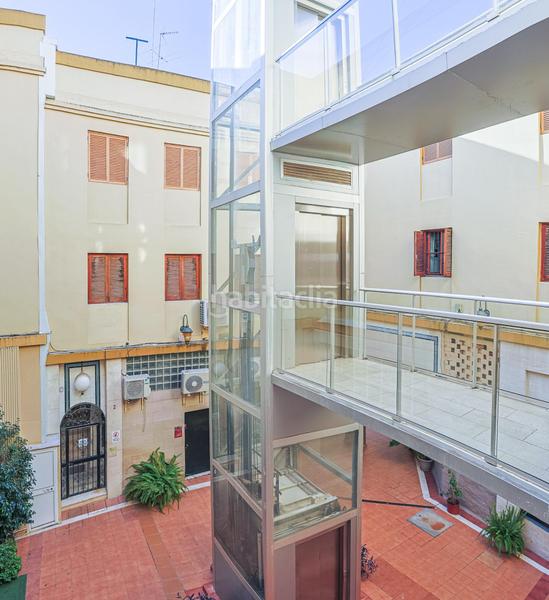 Foto 60583448-db0c-4f22-a0be-ceb8caf2d069. Pis a Alfalfa - Santa Cruz Sevilla