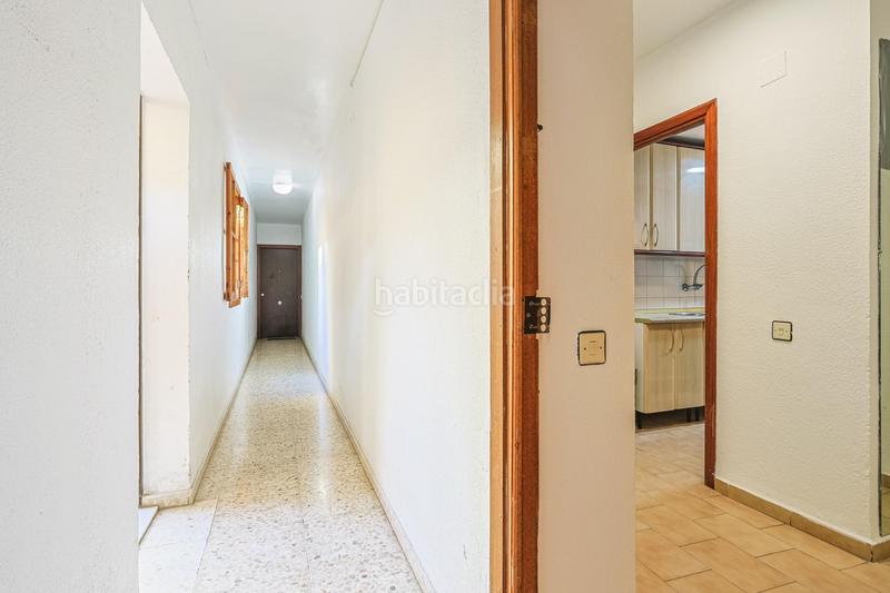 Foto 66ebf614-1abf-41cf-9442-f7b6e0201837. Pis a Alfalfa - Santa Cruz Sevilla