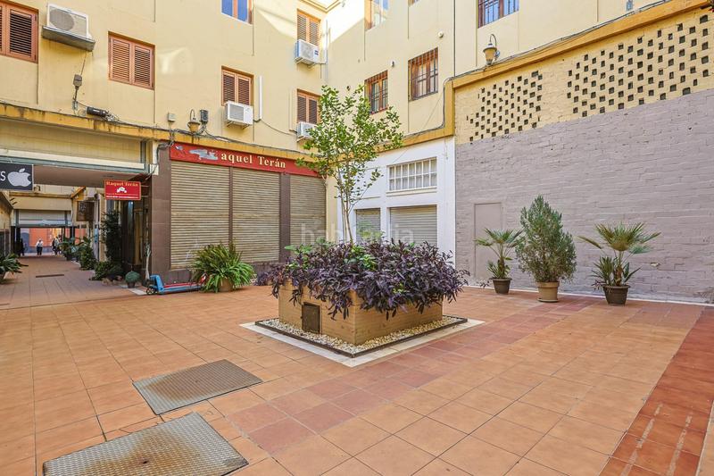 Foto 75e40116-bef7-4bc3-97ef-e6bc6f937dda. Pis a Alfalfa - Santa Cruz Sevilla