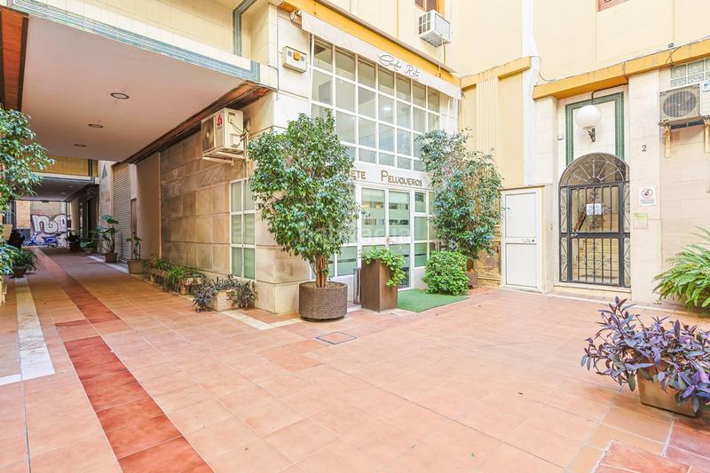 Foto 7ced6ee5-edb9-4ce8-8a3d-8a331a87b499. Pis a Alfalfa - Santa Cruz Sevilla