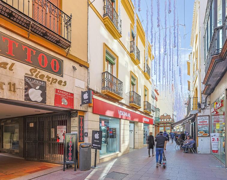 Foto 81594c11-1669-4564-b04d-d116a1d3551c. Pis a Alfalfa - Santa Cruz Sevilla