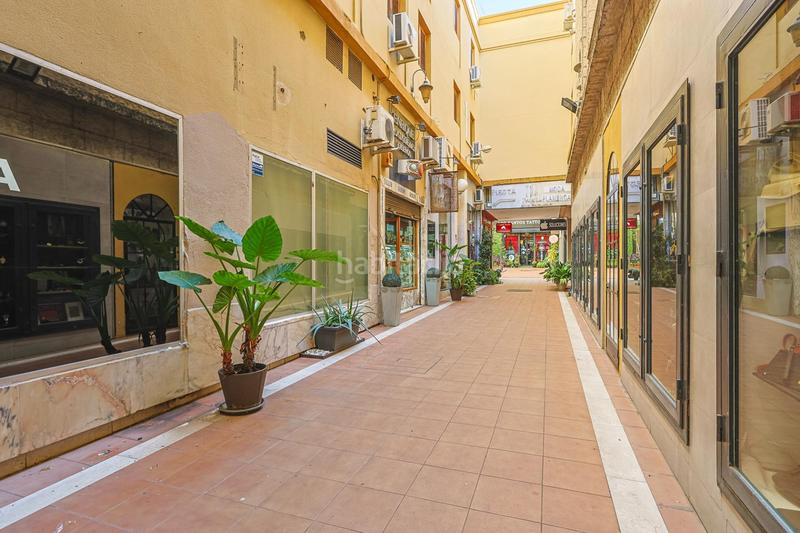 Foto a300a3c8-2dc9-4db9-a07b-731e3df87fef. Pis a Alfalfa - Santa Cruz Sevilla