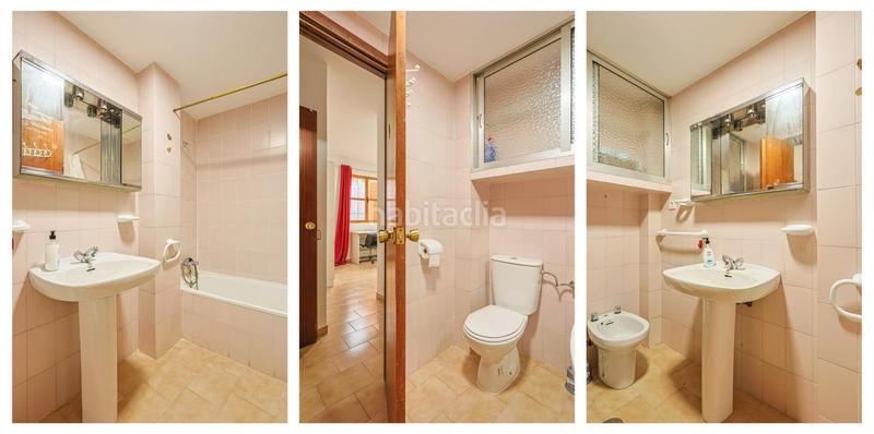 Foto b1e14058-1f0c-4f37-902d-e1590ebae72f. Pis a Alfalfa - Santa Cruz Sevilla