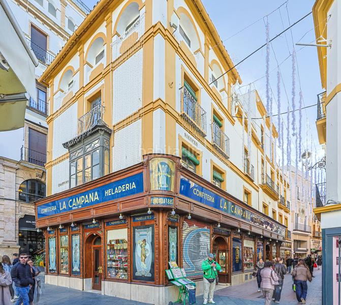 Foto bffee275-881e-4c16-9c9d-17ff107b605f. Pis a Alfalfa - Santa Cruz Sevilla