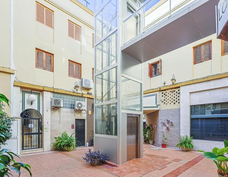 Foto df7ed164-19af-4f63-8db8-4155fa5b555f. Pis a Alfalfa - Santa Cruz Sevilla