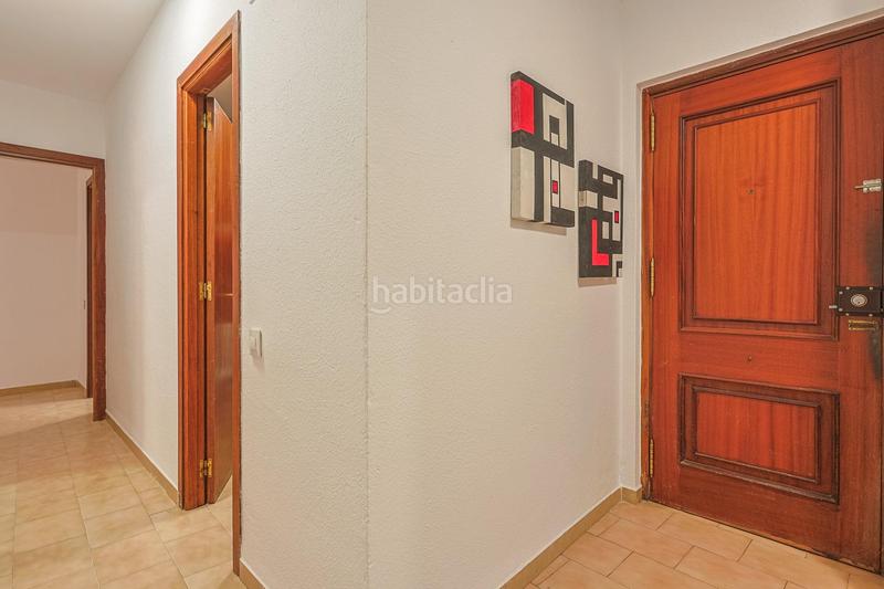 Foto f5168de1-89e6-40b5-888c-73259e34161f. Pis a Alfalfa - Santa Cruz Sevilla