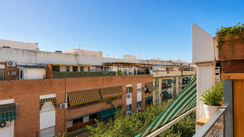Foto c58c9b0b-6990-45cc-90d1-fa5b18210993. Àtic a Viñuela - Rescatado Córdoba