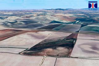Finca rústica a Pozoalbero. 32 ha. de tierra calma del marco de jerez, a pie de carretera