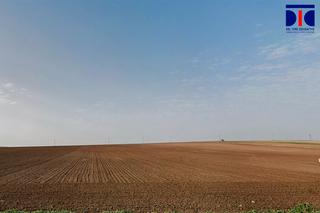 Rural plot in Lebrija. El cornejil. casi 9 ha. de tierra llana de labor en secano de pr