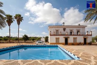 Mas à Carmona. Espectacular finca con dos viviendas, casi 9 ha. con olivar de r