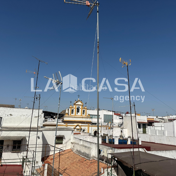 Foto f5142c69-8b98-4b88-b644-a05fb96254b4. Pis a Triana Casco Antiguo Sevilla