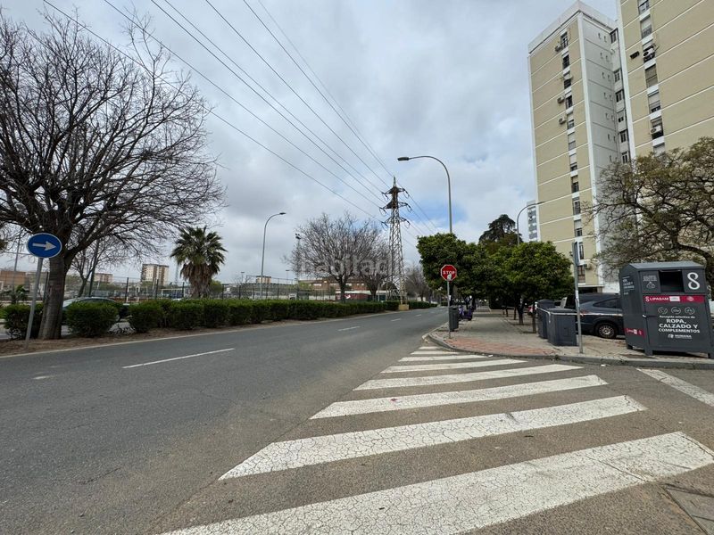 Foto fc0a6f20-9552-45be-ae7d-3eec42cdd0aa. Pis a San Pablo Sevilla