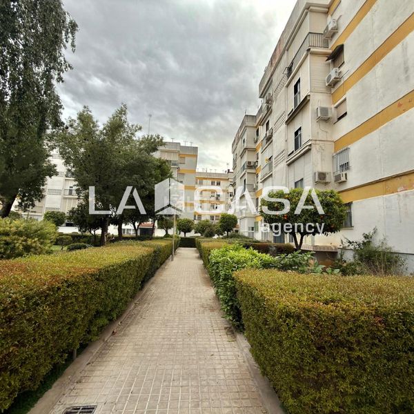 Foto d397f8fa-0342-4acd-b797-40d880fe2f88. Pis a Cruz Roja Sevilla