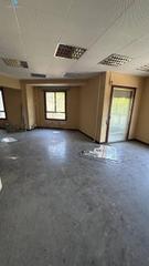 Pis en Alameda - Mentidero - Teatro Falla. Amplia propiedad en el corazn de cdiz oportunidad nica para r