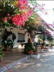 Casa en Alcolea