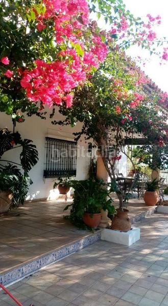 Foto d665b5e4-0276-4d5d-97e1-7715a347d24b. Casa in Alcolea Córdoba