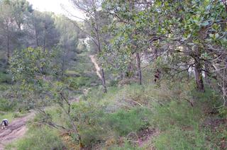 Residential Plot in Las Jaras