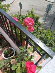 House in El Brillante -El Naranjo - El Tablero