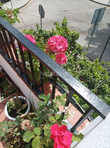 Foto 23024b00-90d1-4254-8f77-8e23b6b46dd0. Haus in El Brillante -El Naranjo - El Tablero Córdoba