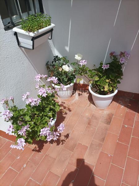 Foto 1e8a8814-f075-4fdf-b63d-5636731052f1. Maison dans El Brillante -El Naranjo - El Tablero Córdoba