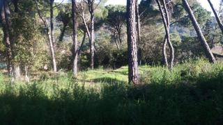 Residential Plot in Santa Maria de Trassierra