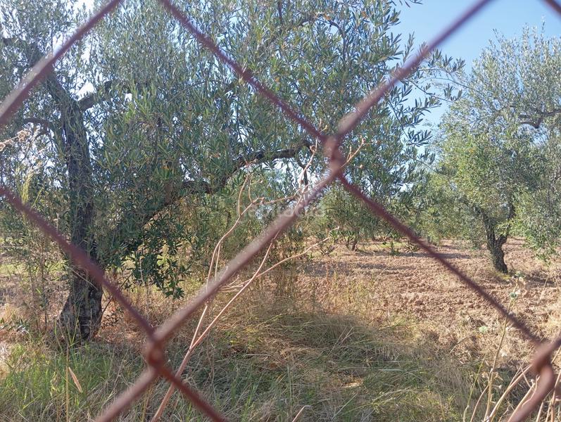 Foto 96515f5b-c47c-4043-b360-42e09e360264. Terrain résidentiel dans ramal de Espartinas Espartinas