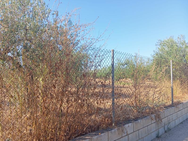 Foto 9c7d8b4f-22f3-4c16-9eb2-529208cf273b. Terrain résidentiel dans ramal de Espartinas Espartinas