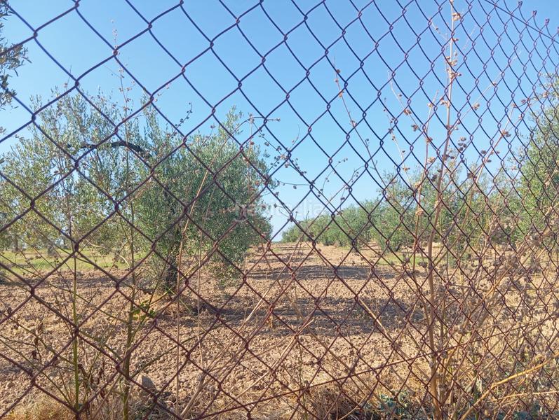 Foto a86cd7c3-3249-4449-a0d4-f41d10aa8ad8. Terrain résidentiel dans ramal de Espartinas Espartinas