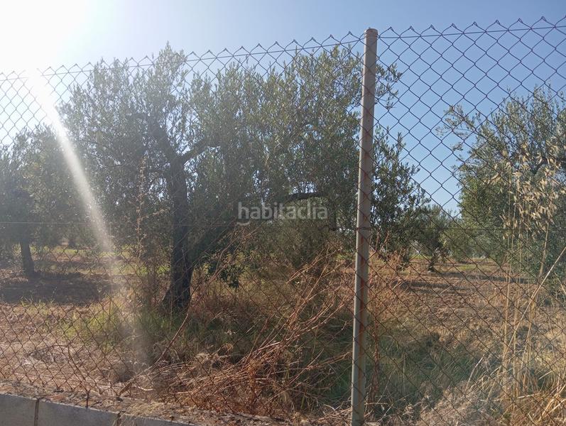 Foto b478867b-9f47-4027-b64b-77bcd64aee15. Terrain résidentiel dans ramal de Espartinas Espartinas