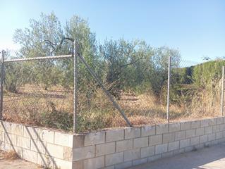 Terrain résidentiel à Ramal de Espartinas. Terreno rustico de olivos a la venta en salteras