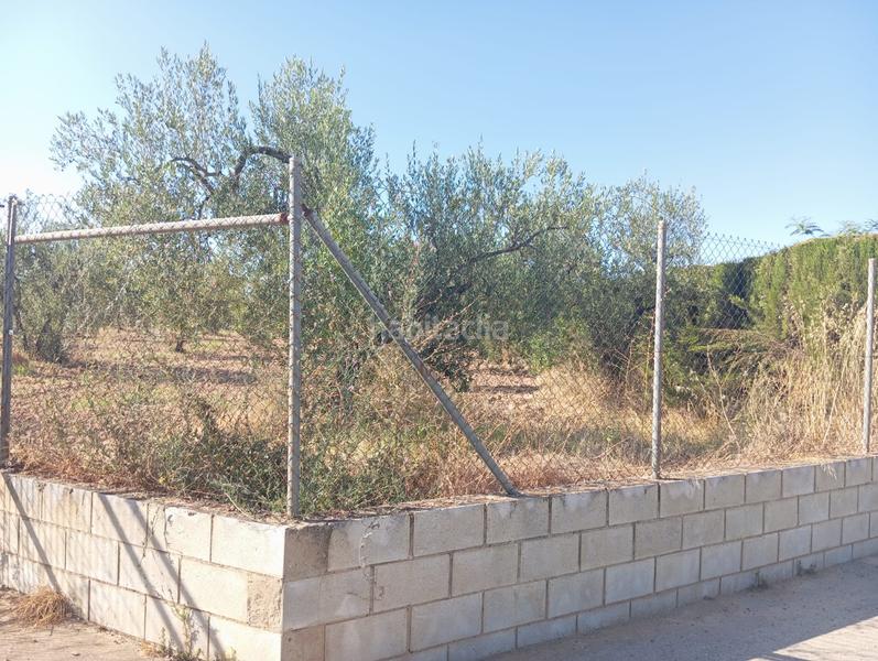 Foto c17287b1-7d4a-4297-9852-0c1cfc44e11d. Terrain résidentiel dans ramal de Espartinas Espartinas