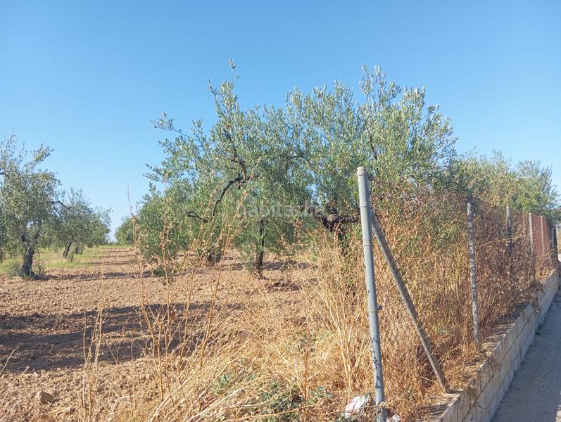 Foto c6f169ea-9e22-4006-a5df-ad2f5998e8f9. Terrain résidentiel dans ramal de Espartinas Espartinas