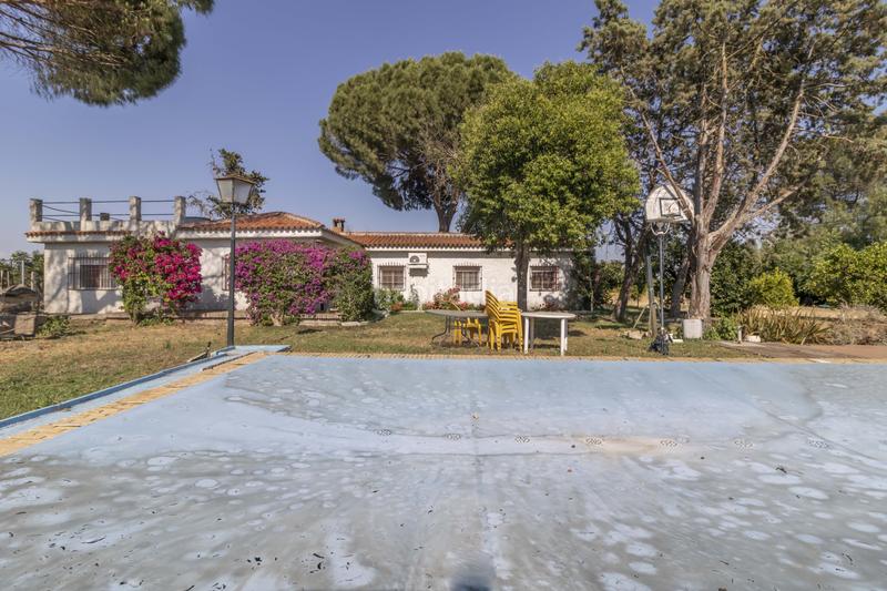 Foto 3a6c13b8-d14c-4539-a0e8-99bc1c9c4ec0. Casa  independiente con piscina y garaje en terreno rústico a la venta en el baldío, la algaba en Algaba (La)