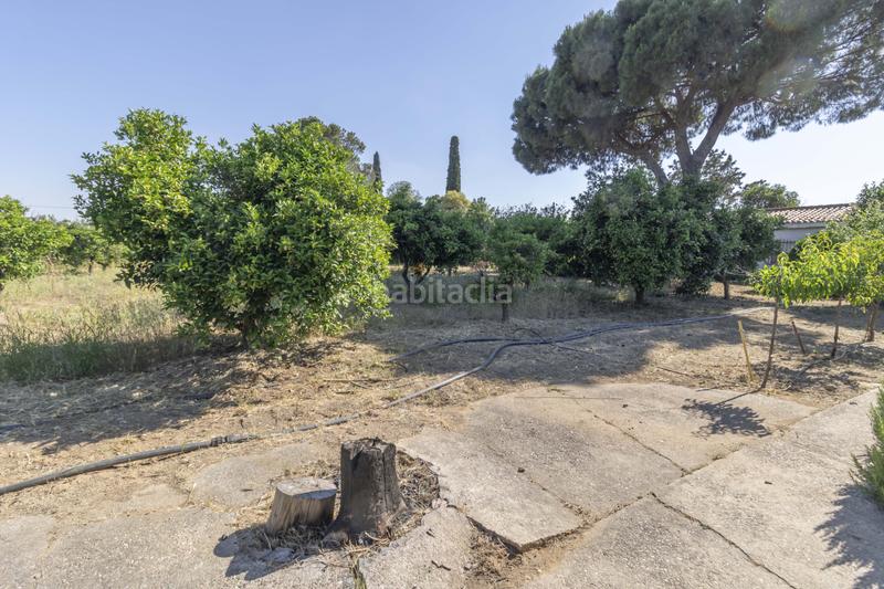 Foto 42c3b7ca-a989-4f3e-810e-bed521a5efdc. Casa  independiente con piscina y garaje en terreno rústico a la venta en el baldío, la algaba en Algaba (La)