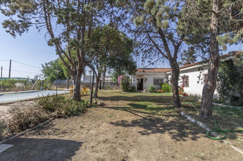 Foto 72a697fb-7d24-4290-86f3-a462c47479fe. Casa  independiente con piscina y garaje en terreno rústico a la venta en el baldío, la algaba en Algaba (La)