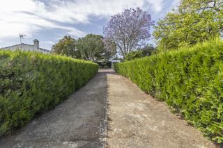 House en Carmona. Parcela de terreno urbano con chalet independiente con piscina p
