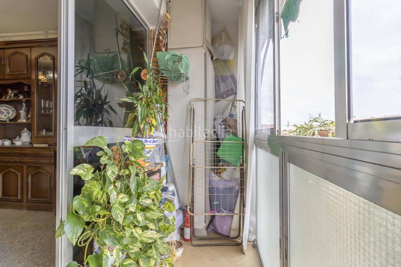 Foto 84aacaf6-fcea-481f-a58f-c6f4cc34b458. Pis a La Plata Sevilla