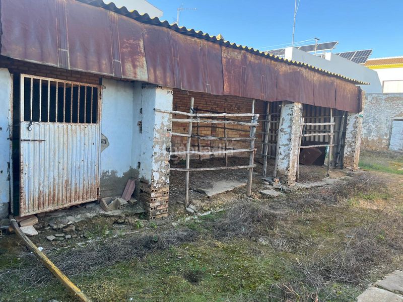 Foto 46b84c2a-6202-4a14-8e69-a9ac5fc5bc17. Finca rústica a Aznalcázar