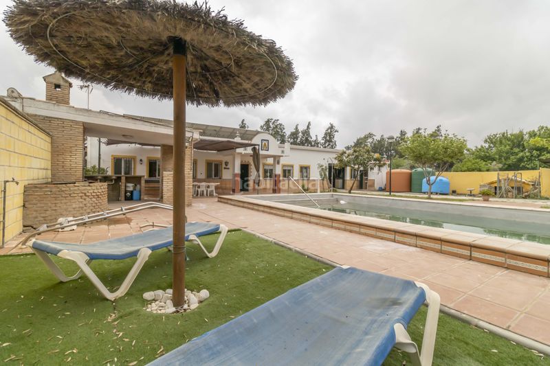 Foto 5306c8d2-b566-4b2d-b39d-0e39860a77ab. Casa amb piscina a Carmona