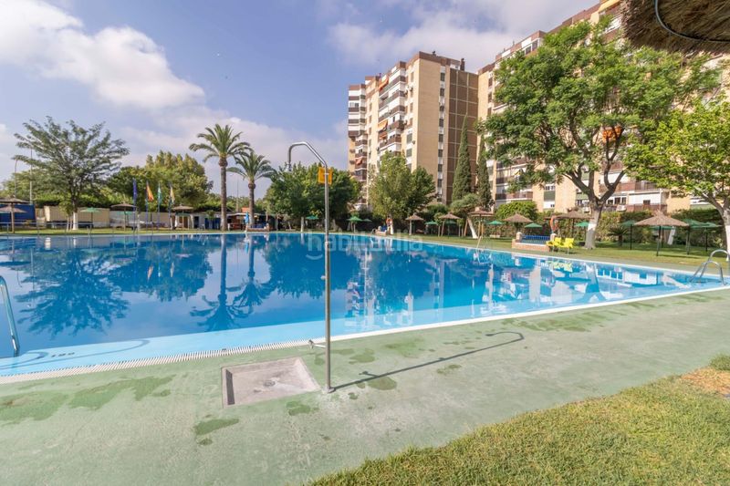 Foto 615a3b33-d407-4577-9574-0392f74c666e. Pis amb piscina a Sta. Aurelia - Cantábrico - Atlàntico - La Romería Sevilla