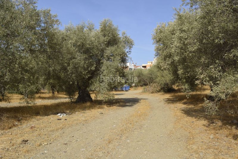 Foto 791767e0-8b54-4f85-bb3c-9f6b5b9099ca. Wohngrundstück in calle proverbios 4 in Campanillas Málaga