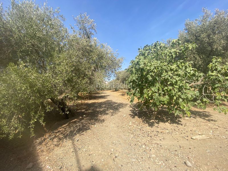 Foto a1ab3d0a-0bff-4fad-9022-132c5ff934e4. Wohngrundstück in calle proverbios 4 in Campanillas Málaga