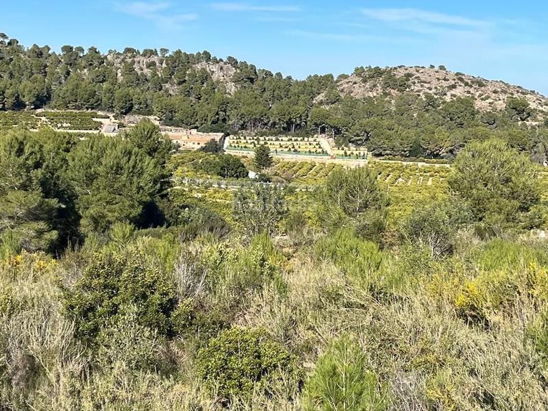 Foto 0c30e5a1-8a20-4136-bf8b-e15210a0ab54. Finca rústica a n/a a Tavernes de la Valldigna